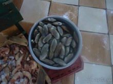 Рыбный рынок в Хургаде