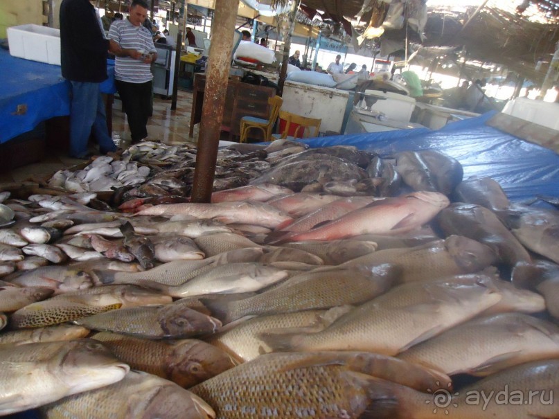 Рыбный рынок в Хургаде