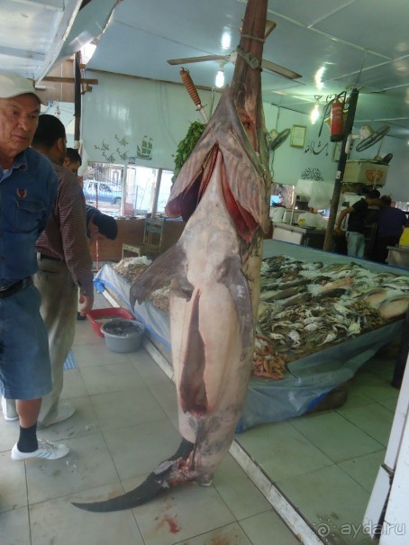Рыбный рынок в Хургаде