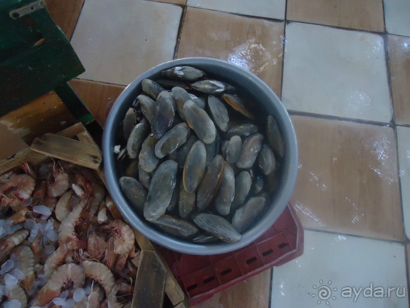 Рыбный рынок в Хургаде