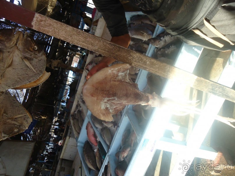 Рыбный рынок в Хургаде