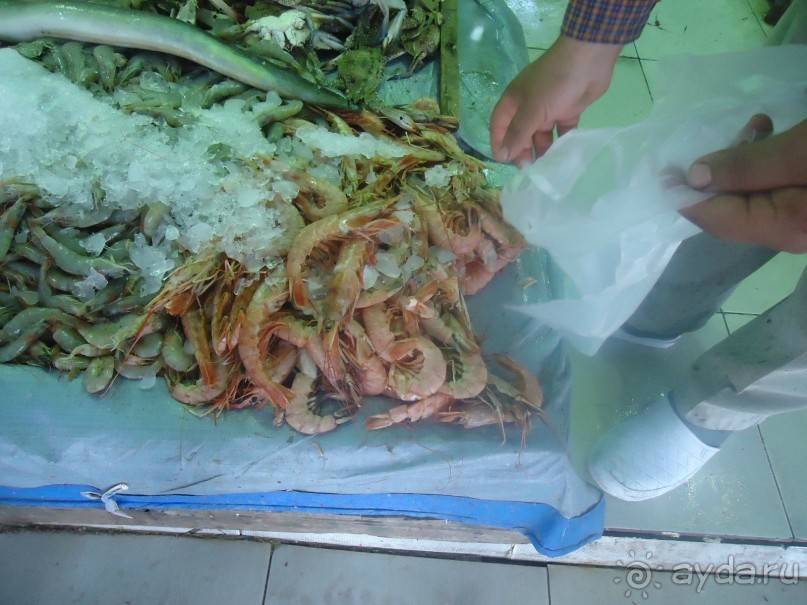 Рыбный рынок в Хургаде