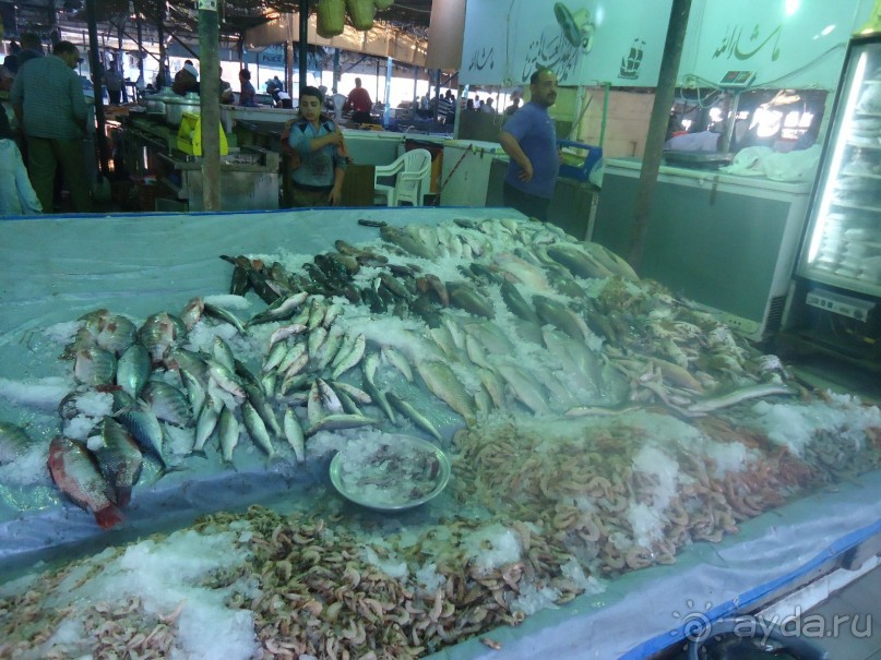 Рыбный рынок в Хургаде