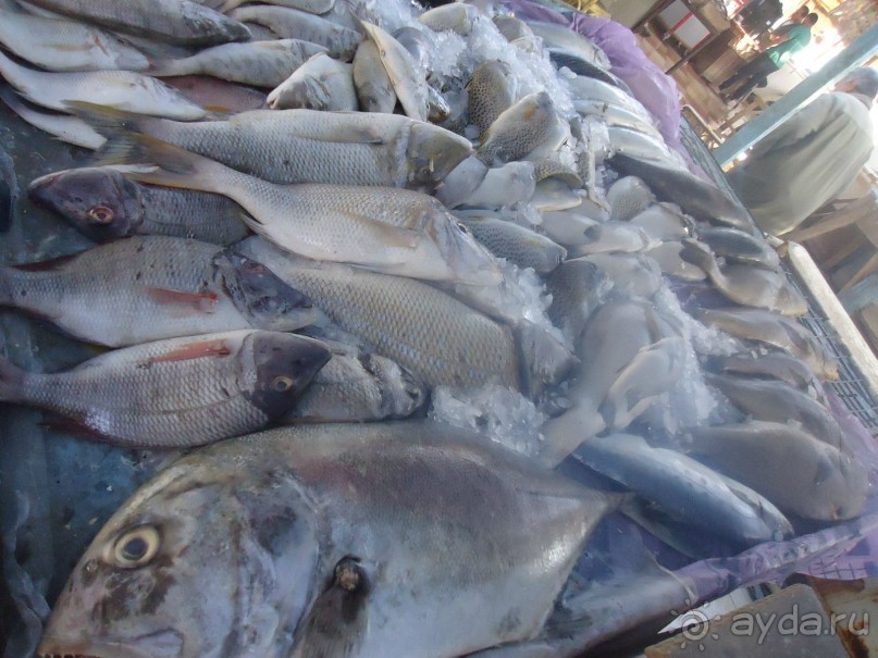 Рыбный рынок в Хургаде