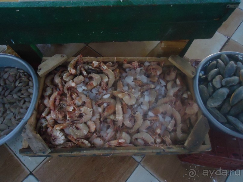 Рыбный рынок в Хургаде