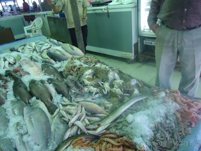 Рыбный рынок в Хургаде