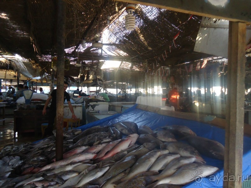 Рыбный рынок в Хургаде