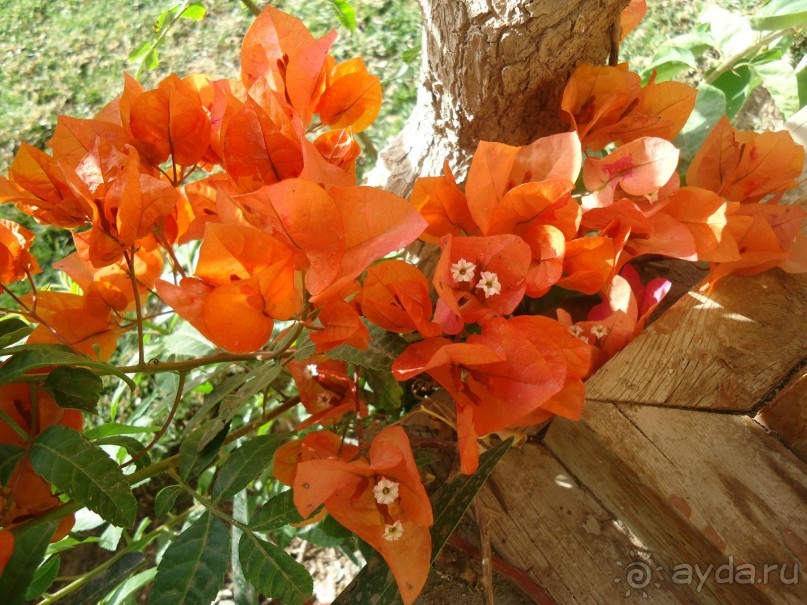 Клёвый отель для тех, кто ценит стиль и заботу.