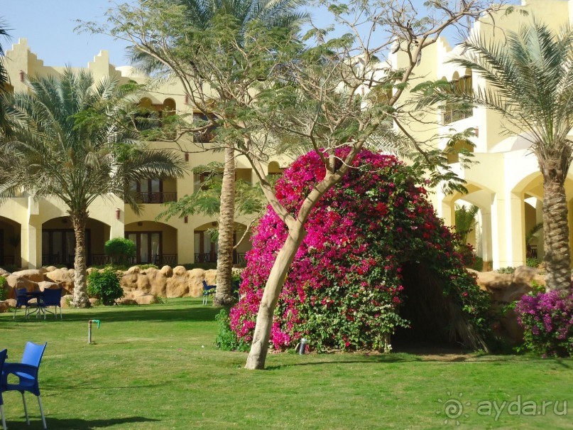 Достойный отдых