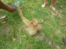 Отель хороший, но нужно за все платить.