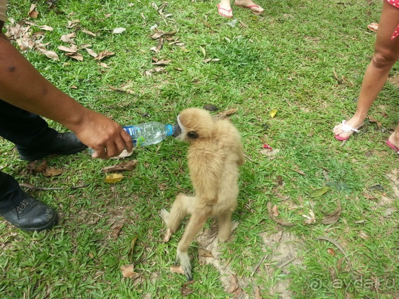 Отель хороший, но нужно за все платить.