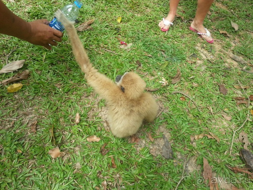 Отель хороший, но нужно за все платить.