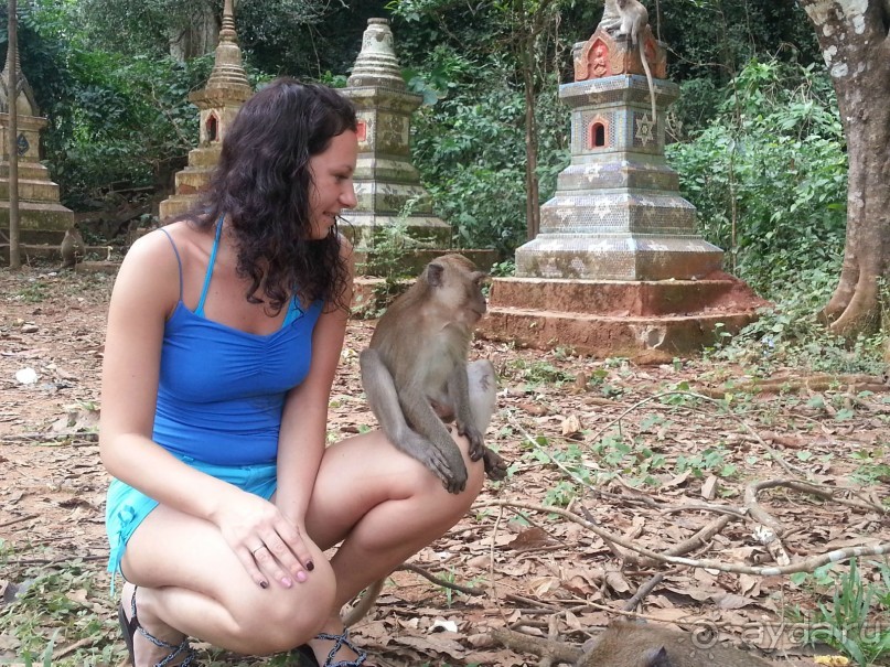 Отель хороший, но нужно за все платить.