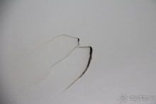 не то, чего ожидали