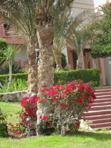 фото Serenity Alpha Beach