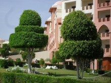 фото Le Meridien Medina