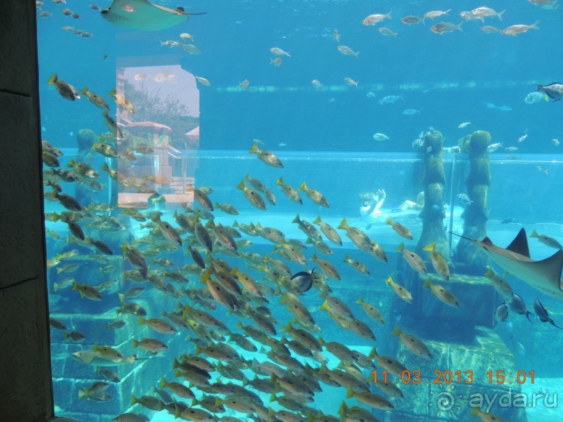 удивительная Поездка в Дубай втроем