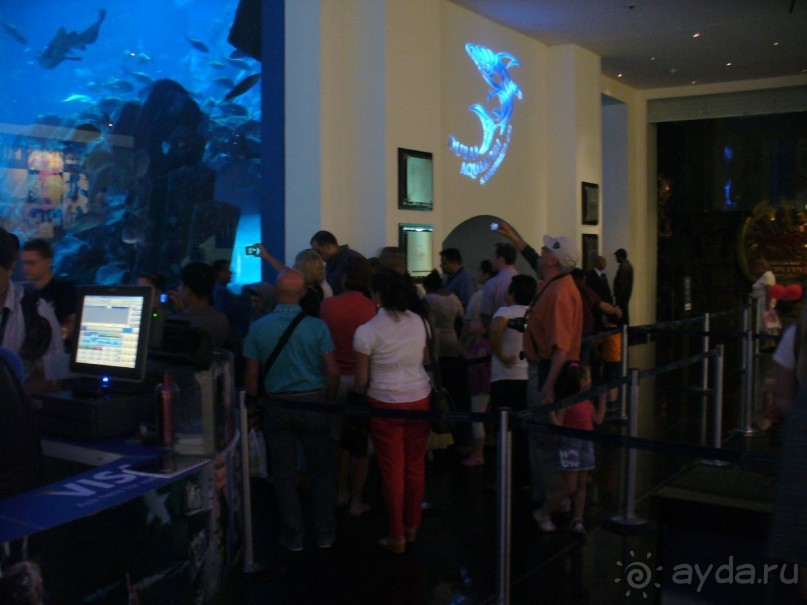 удивительная Поездка в Дубай втроем