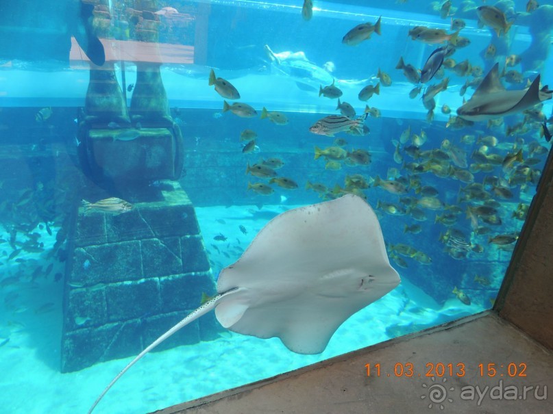 удивительная Поездка в Дубай втроем