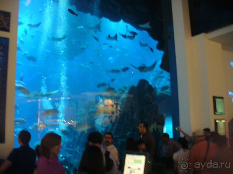 удивительная Поездка в Дубай втроем