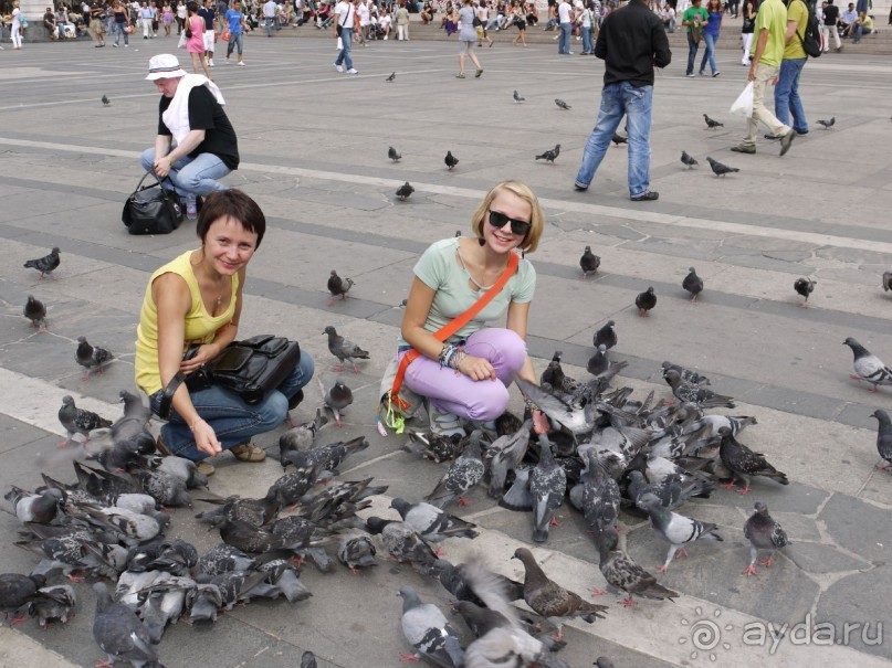 Альбом отзыва "Италия - удивительная страна!"