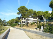 фото Playa de Oro