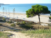 фото Playa de Oro