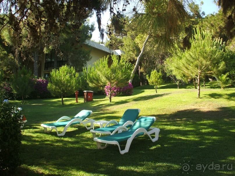 CУПЕР!!!!!!!!!!!!!!!!