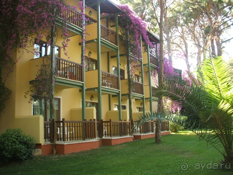 CУПЕР!!!!!!!!!!!!!!!!