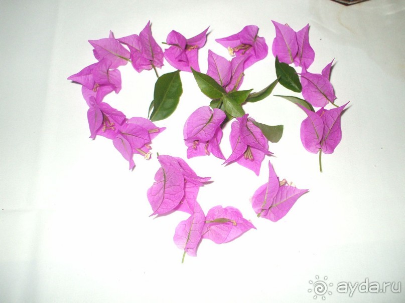 CУПЕР!!!!!!!!!!!!!!!!