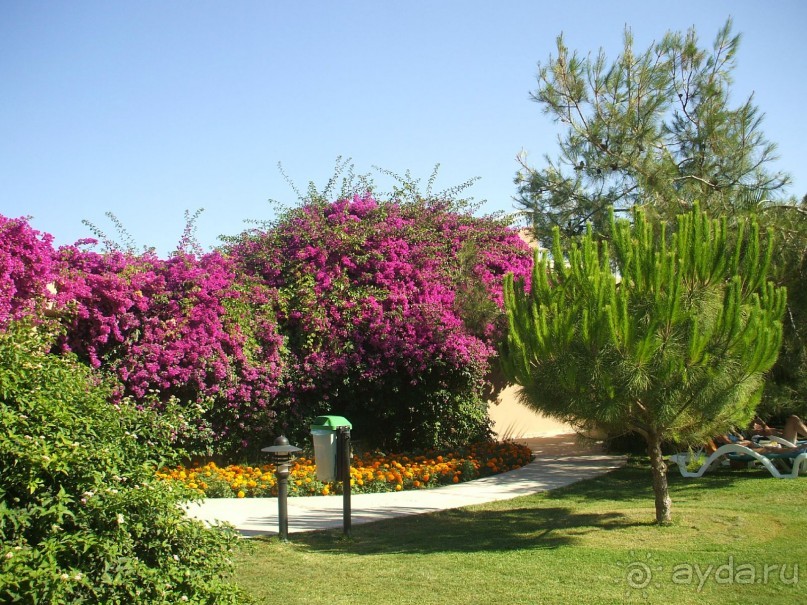 CУПЕР!!!!!!!!!!!!!!!!