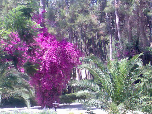 CУПЕР!!!!!!!!!!!!!!!!