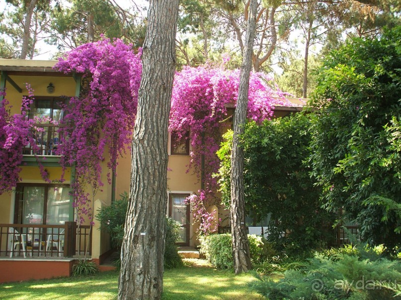 CУПЕР!!!!!!!!!!!!!!!!