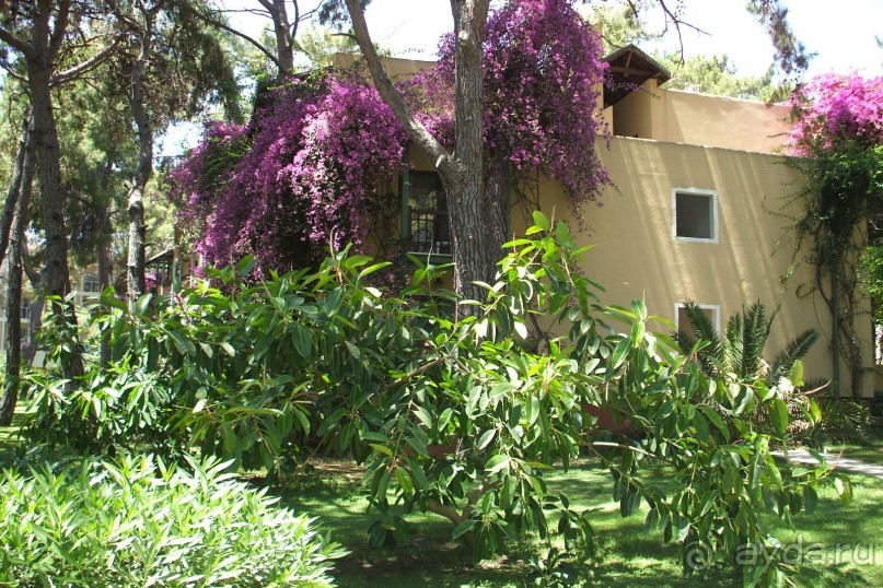 CУПЕР!!!!!!!!!!!!!!!!