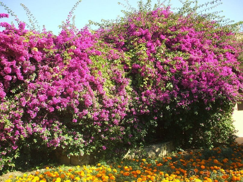 CУПЕР!!!!!!!!!!!!!!!!