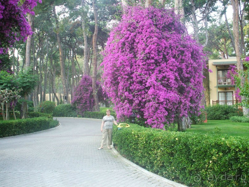 CУПЕР!!!!!!!!!!!!!!!!