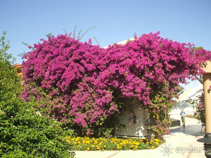 CУПЕР!!!!!!!!!!!!!!!!