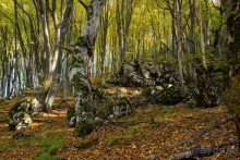 Большой Каньон Крыма