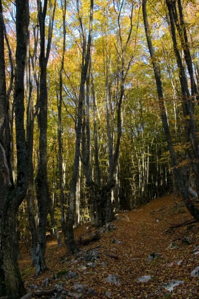 Большой Каньон Крыма