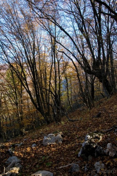 Большой Каньон Крыма