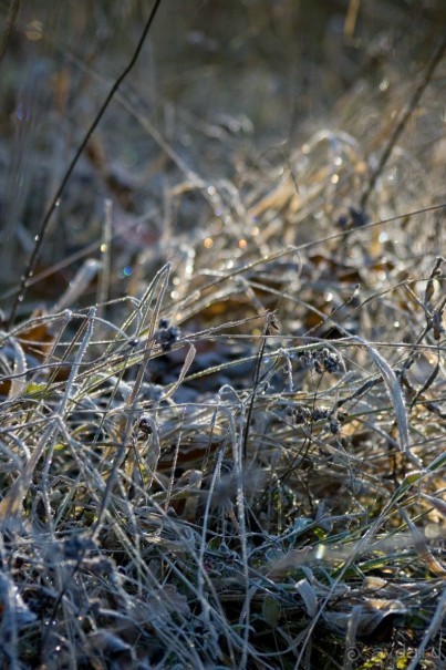 Большой Каньон Крыма