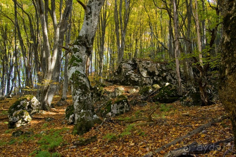 Большой Каньон Крыма