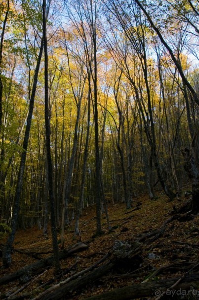 Большой Каньон Крыма