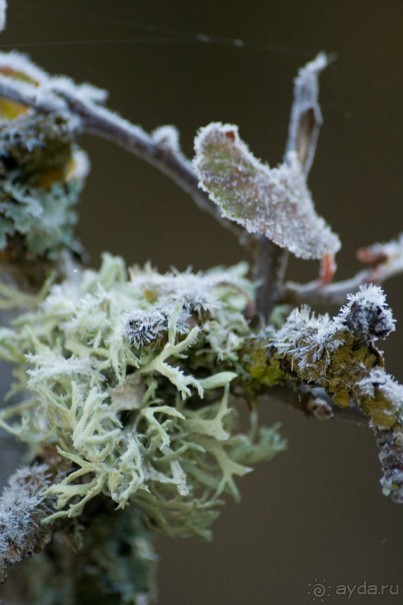 Большой Каньон Крыма