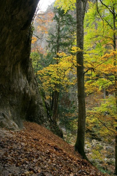 Большой Каньон Крыма