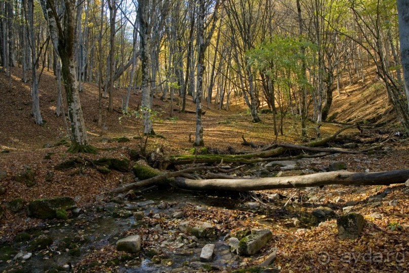 Большой Каньон Крыма