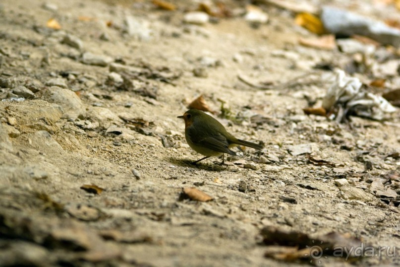 Большой Каньон Крыма