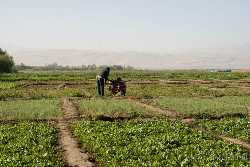 Турция, сентябрь 2012