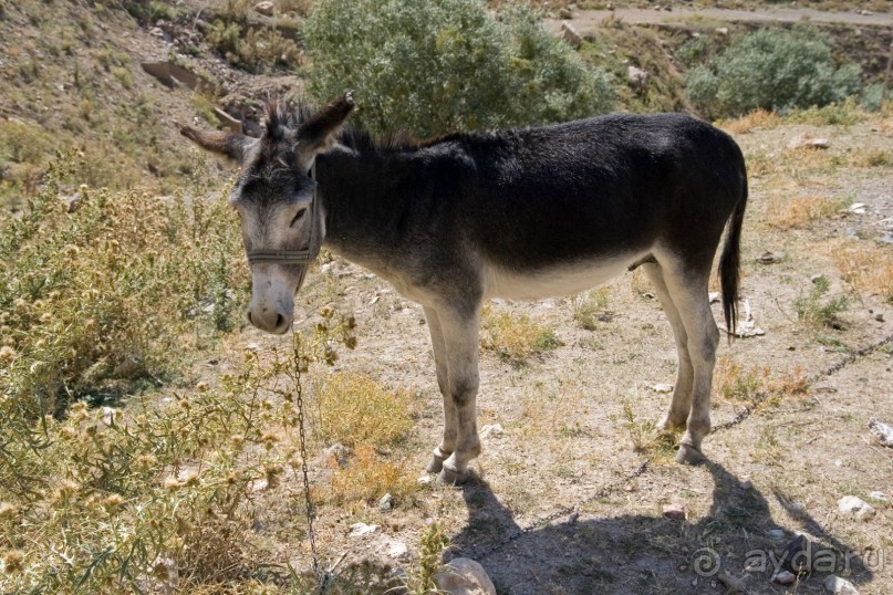 Турция, сентябрь 2012