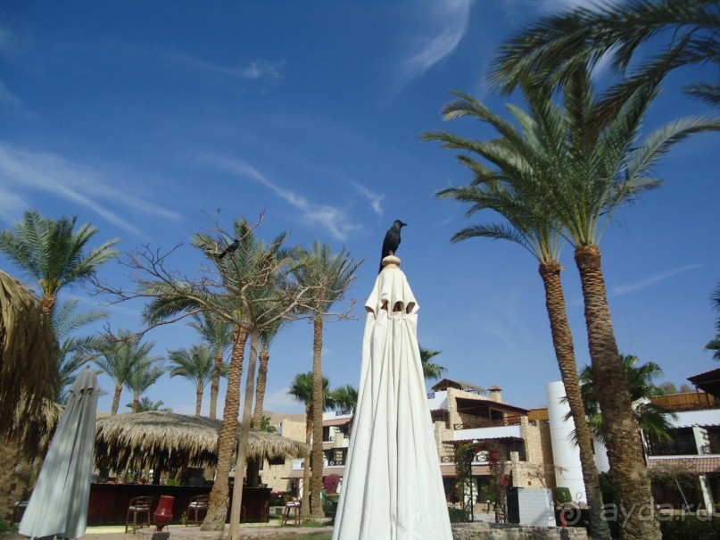 Вроде бы все, что пишут плохое - правда, но нам очень понравилось. Не зацикливайтесь